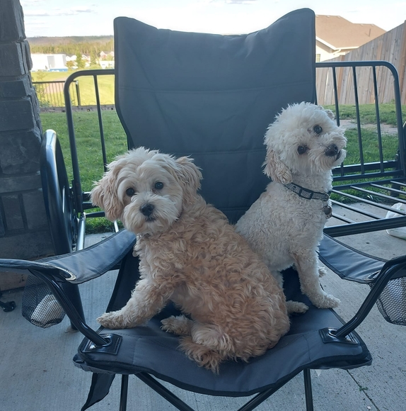 Meet your Posher, Jess - Picture 1 of 1